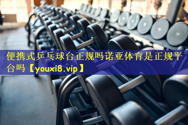 便携式乒乓球台正规吗诺亚体育是正规平台吗