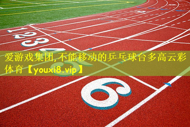 爱游戏集团,不能移动的乒乓球台多高云彩体育