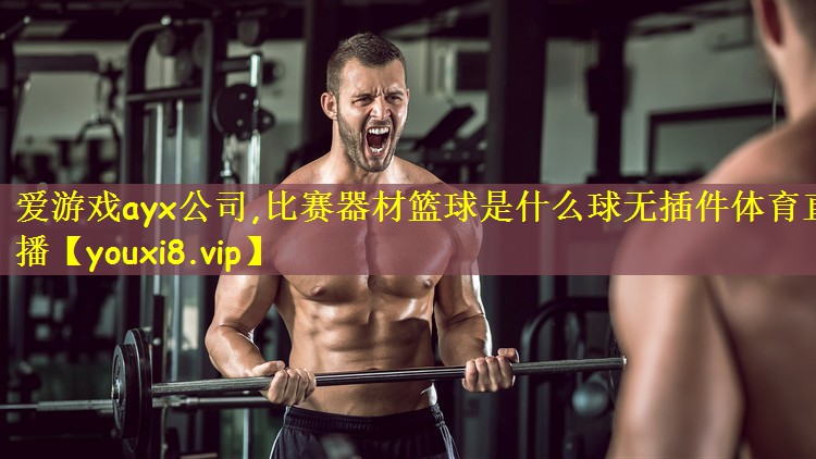 爱游戏ayx公司,比赛器材篮球是什么球无插件体育直播