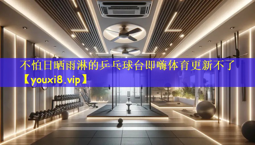 不怕日晒雨淋的乒乓球台即嗨体育更新不了