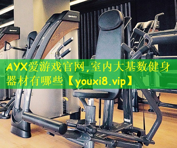 室内大基数健身器材有哪些