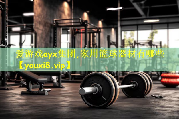 <strong>爱游戏ayx集团,家用篮球器材有哪些</strong>