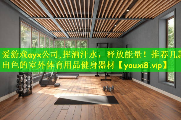 爱游戏ayx公司,挥洒汗水，释放能量！推荐几款出色的室外体育用品健身器材